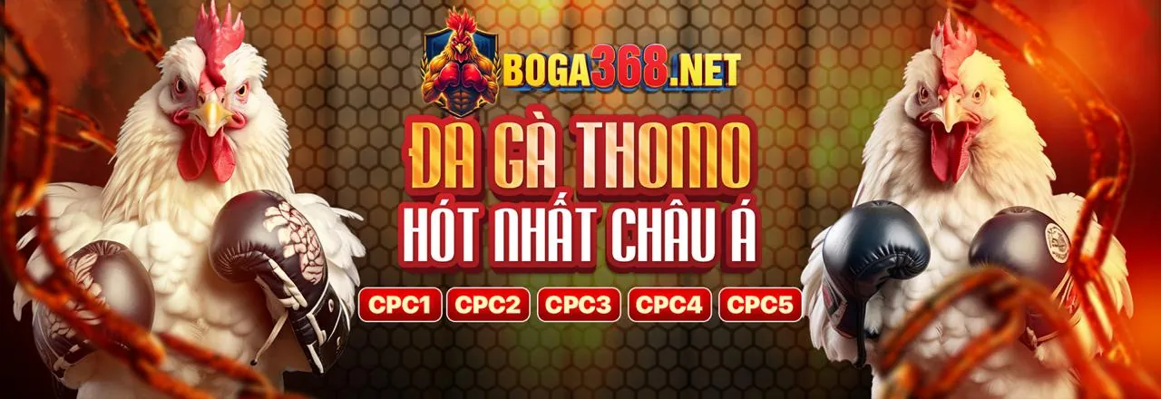 Sân đấu đá gà trực tuyến kịch tính tại g666 bet